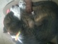 WP_20160425_006.jpg